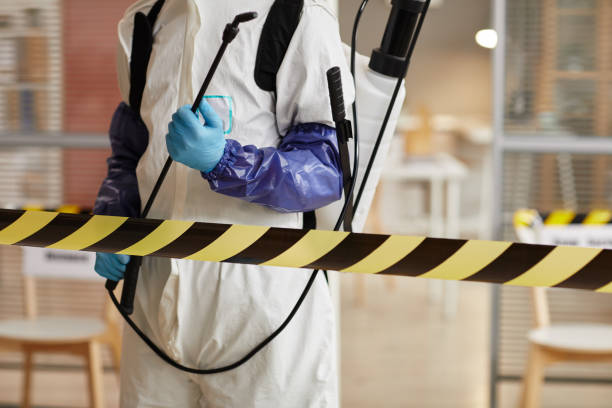 Professional Sewage Cleanup technician working in Graham, NC